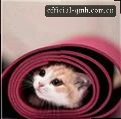 吴芳